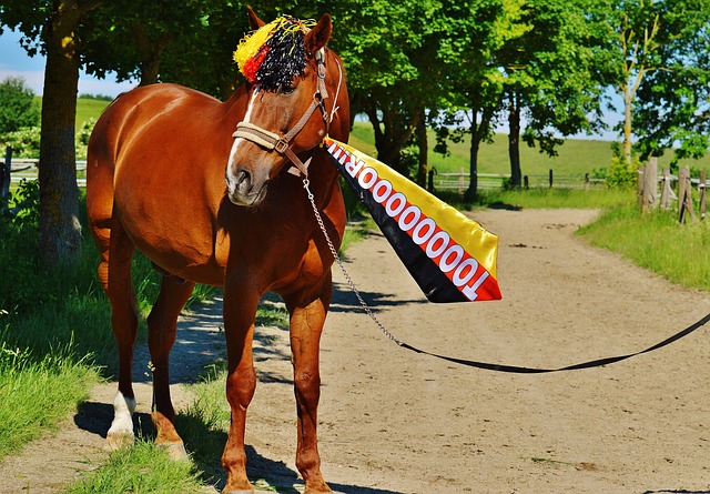 场乃是无数 场乃是无数