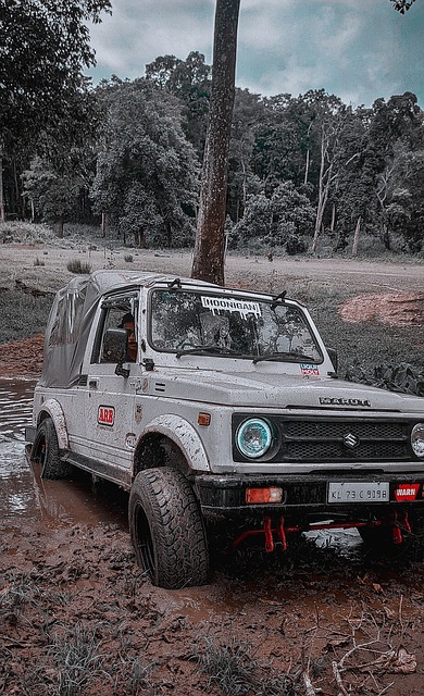 安切洛蒂 安切洛蒂