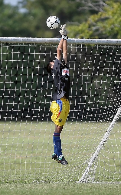 直播平台必 直播平台必