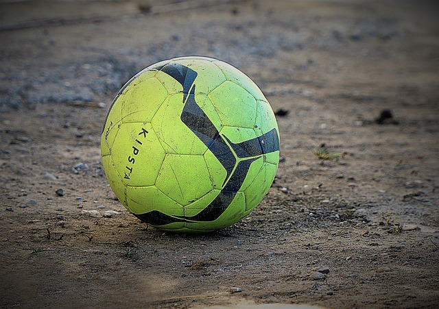 杯女单冠军 杯女单冠军